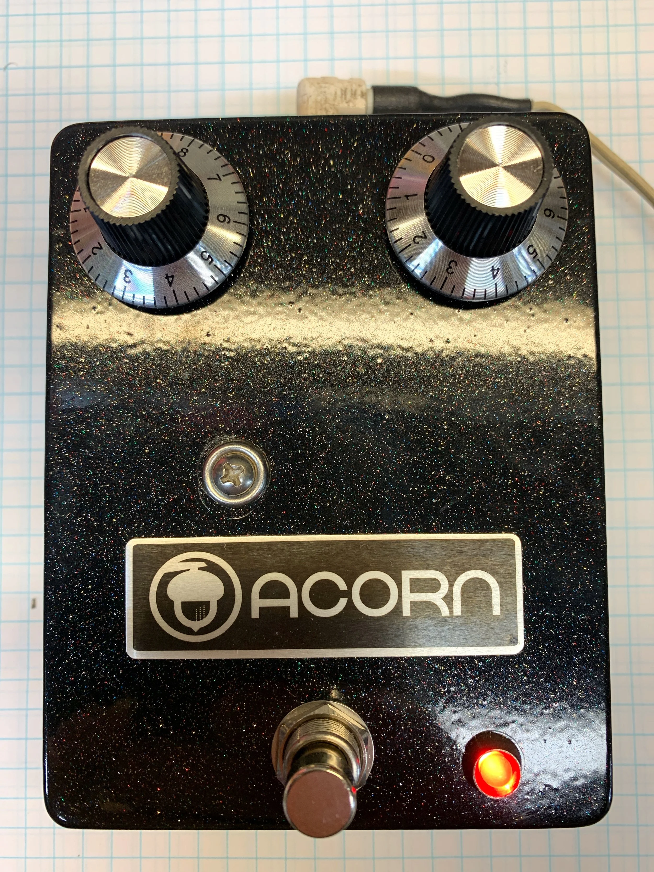 Rarities, Prototypes, and One-offs — Acorn Amplifiers | Effects